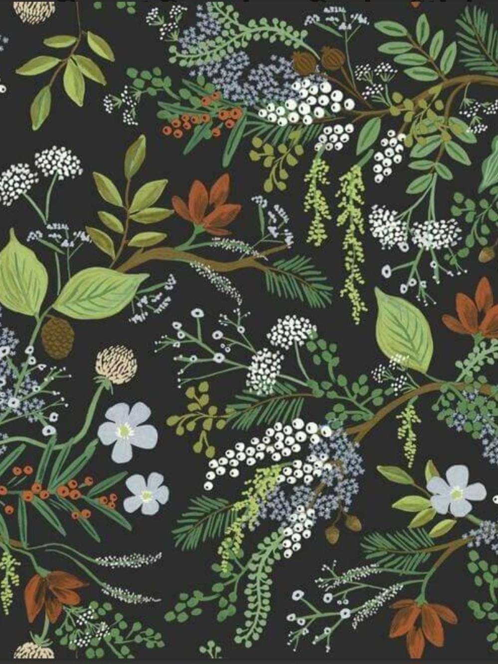 Rifle Paper Co Juniper Forest Peel & Stick WallpaperPSW1198RL 45sqFt/Rollx2rolls